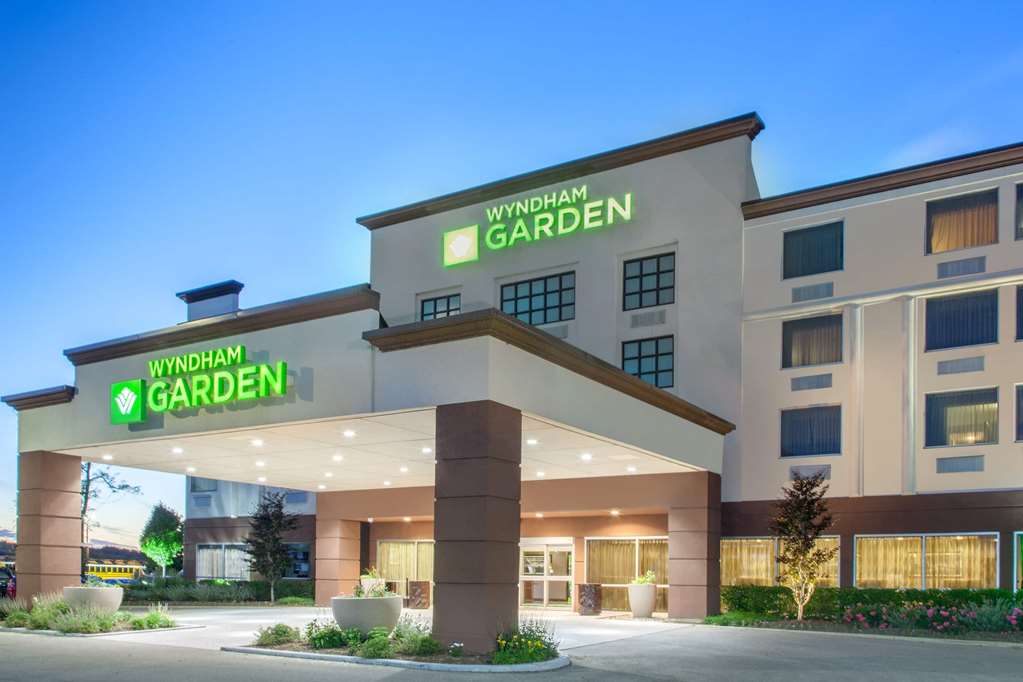 Wyndham Garden Elk Grove Village OHare - photo 2