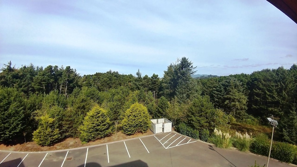 Palace Inn Suites Lincoln City - photo 26