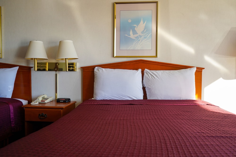 Sunset Inn Clarksville - photo 13