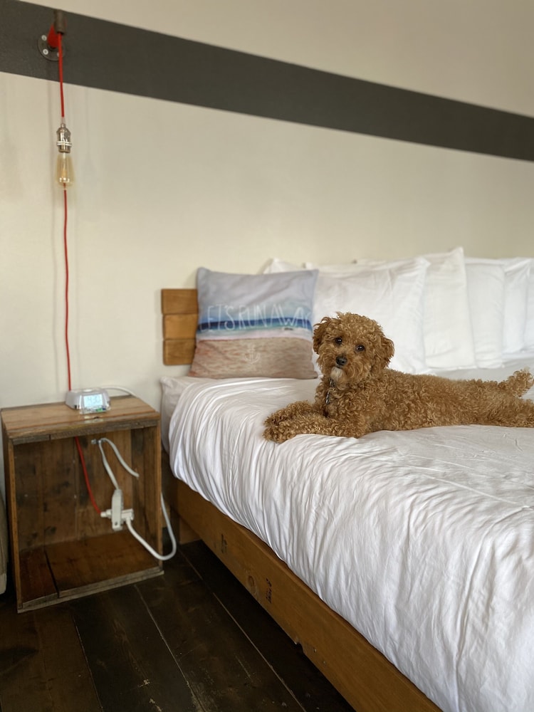 Ashore Hotel - photo 55