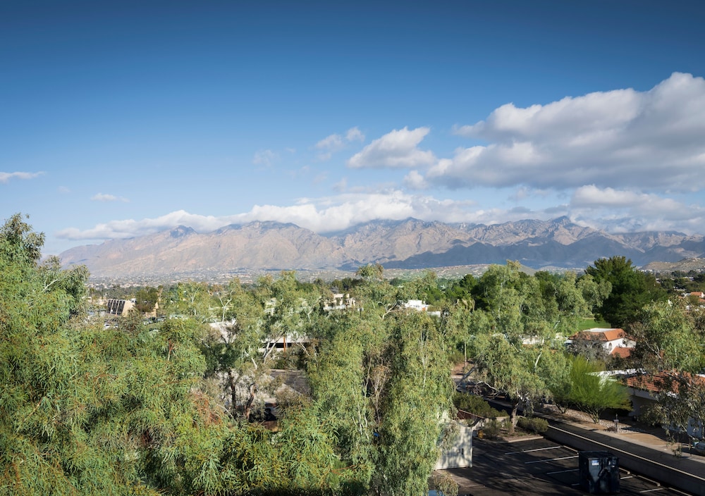 Embassy Suites by Hilton Tucson East - photo 66
