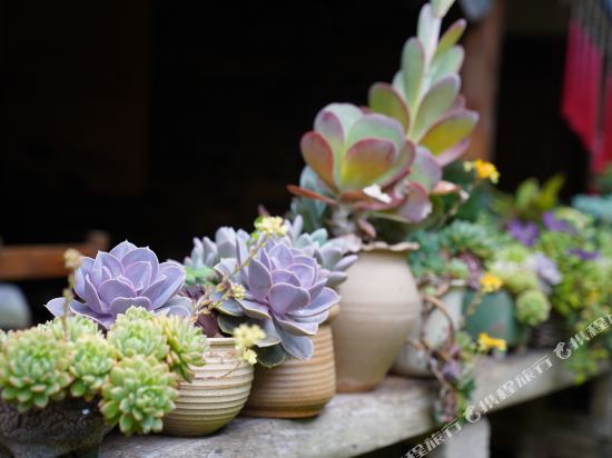 Nicuo Yeluo Inn in Jinping, People's Republic of China