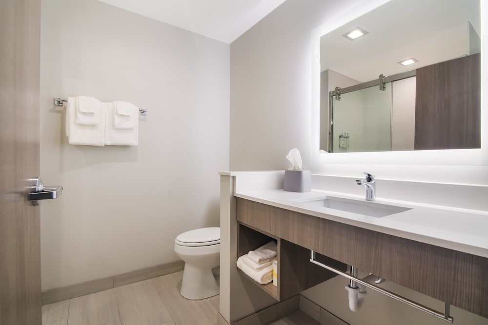 Holiday Inn Express & Suites Springdale Fayetteville Area - photo 21