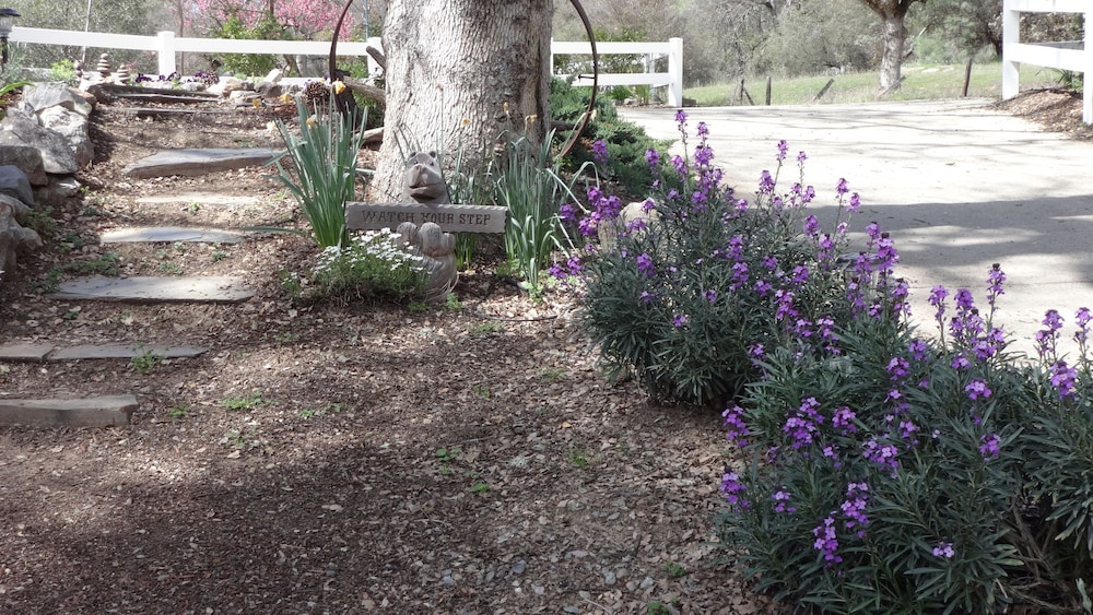 Little Valley Inn - photo 40