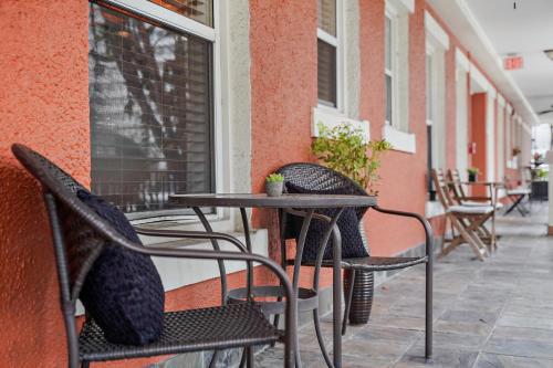 Zen Oasis Chic 1Bd Steps to DTSP — 4-Star Luxury Hotel in St. Petersburg, United States