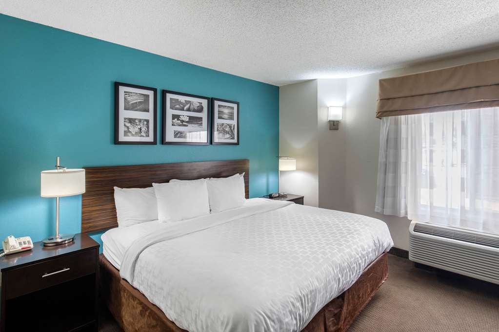 Clarion Inn & Suites DFW North - photo 23