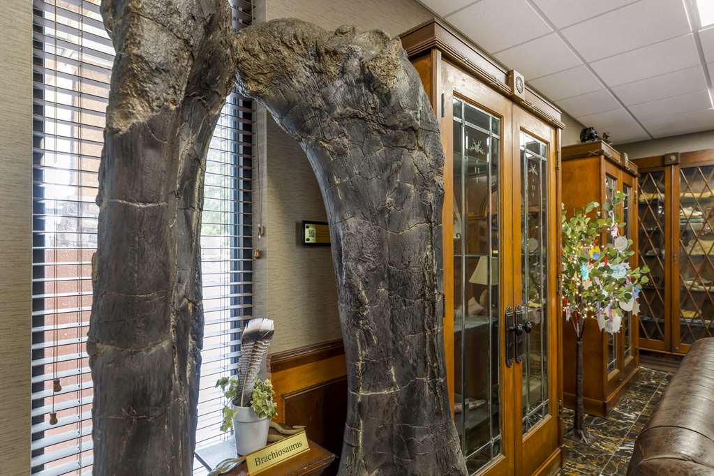 Best Western Denver Southwest - photo 32