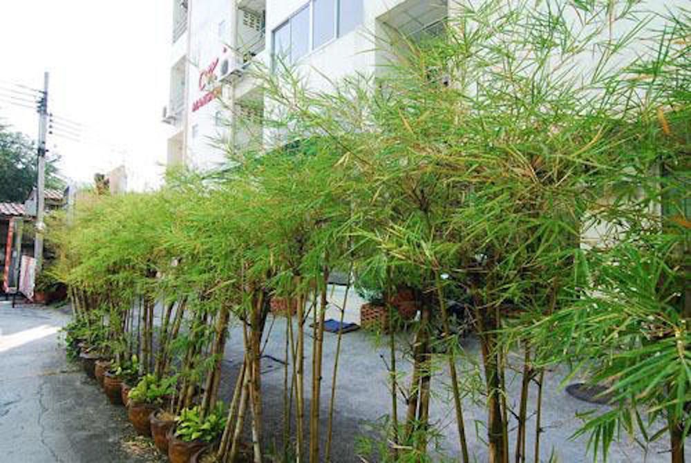 CK Mansion in Mueang Nonthaburi, Thailand