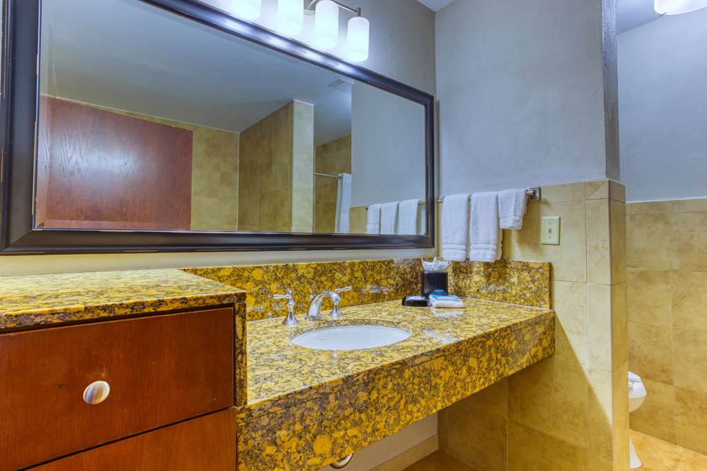 Drury Plaza Hotel San Antonio Riverwalk - photo 113