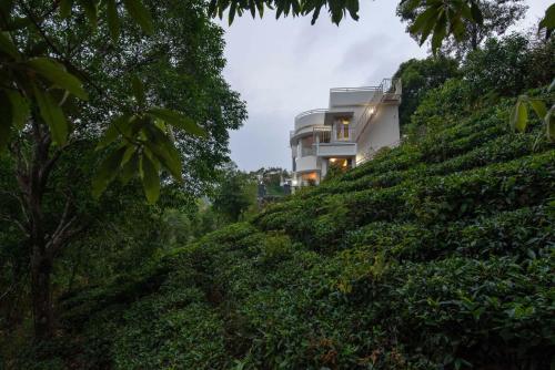 Cocoon Valley With Plantation View And Breakfast At Vagamon — Erattupetta