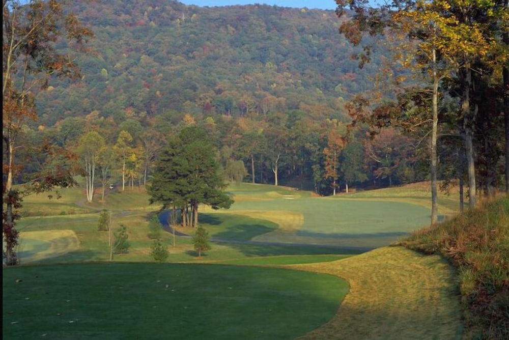 Kingwood Resort - photo 14
