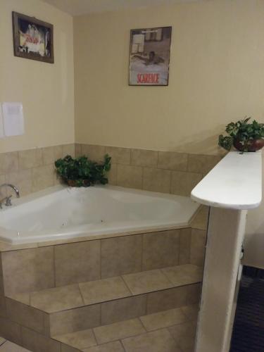 Garden Inn & Suites New Braunfels - photo 5