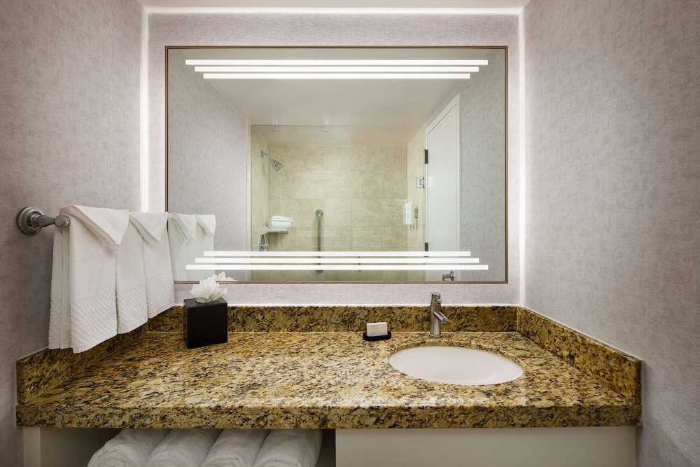 Embassy Suites by Hilton West Palm Beach Central - photo 34