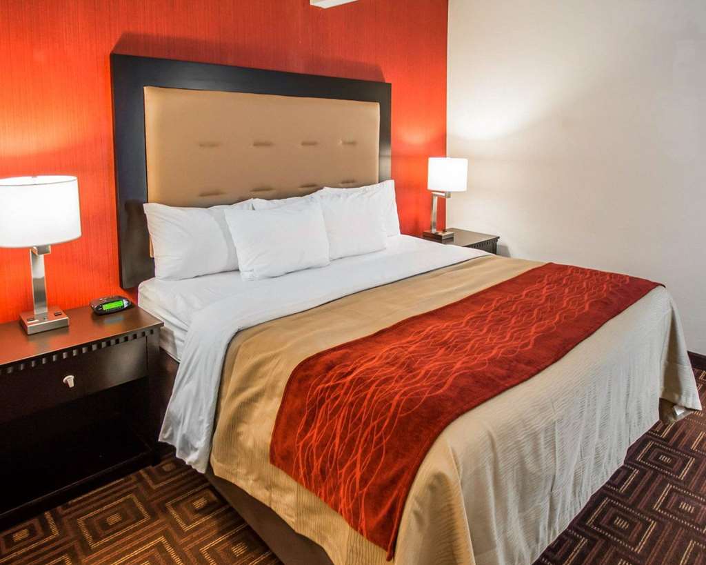 Quality Inn & Suites NJ State Capital Area - photo 10