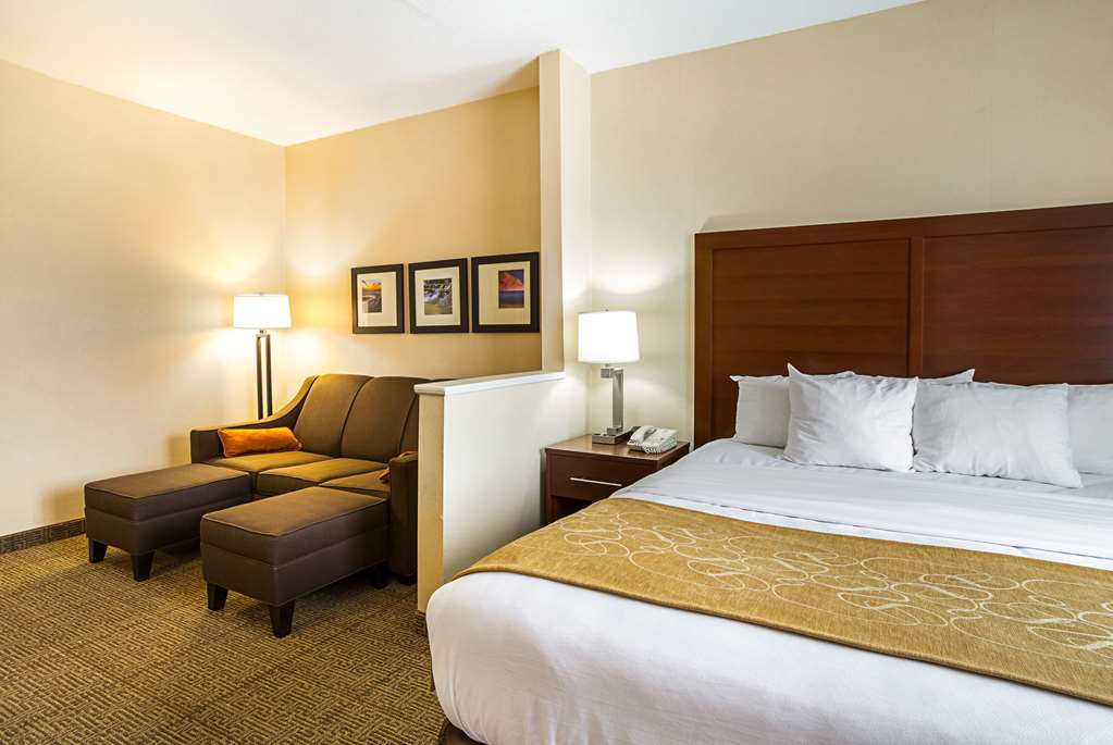 Comfort Suites Twinsburg - photo 40