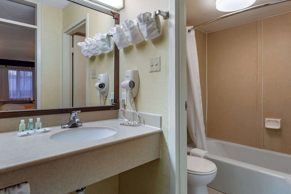 Quality Inn Barstow Route 66 - photo 20