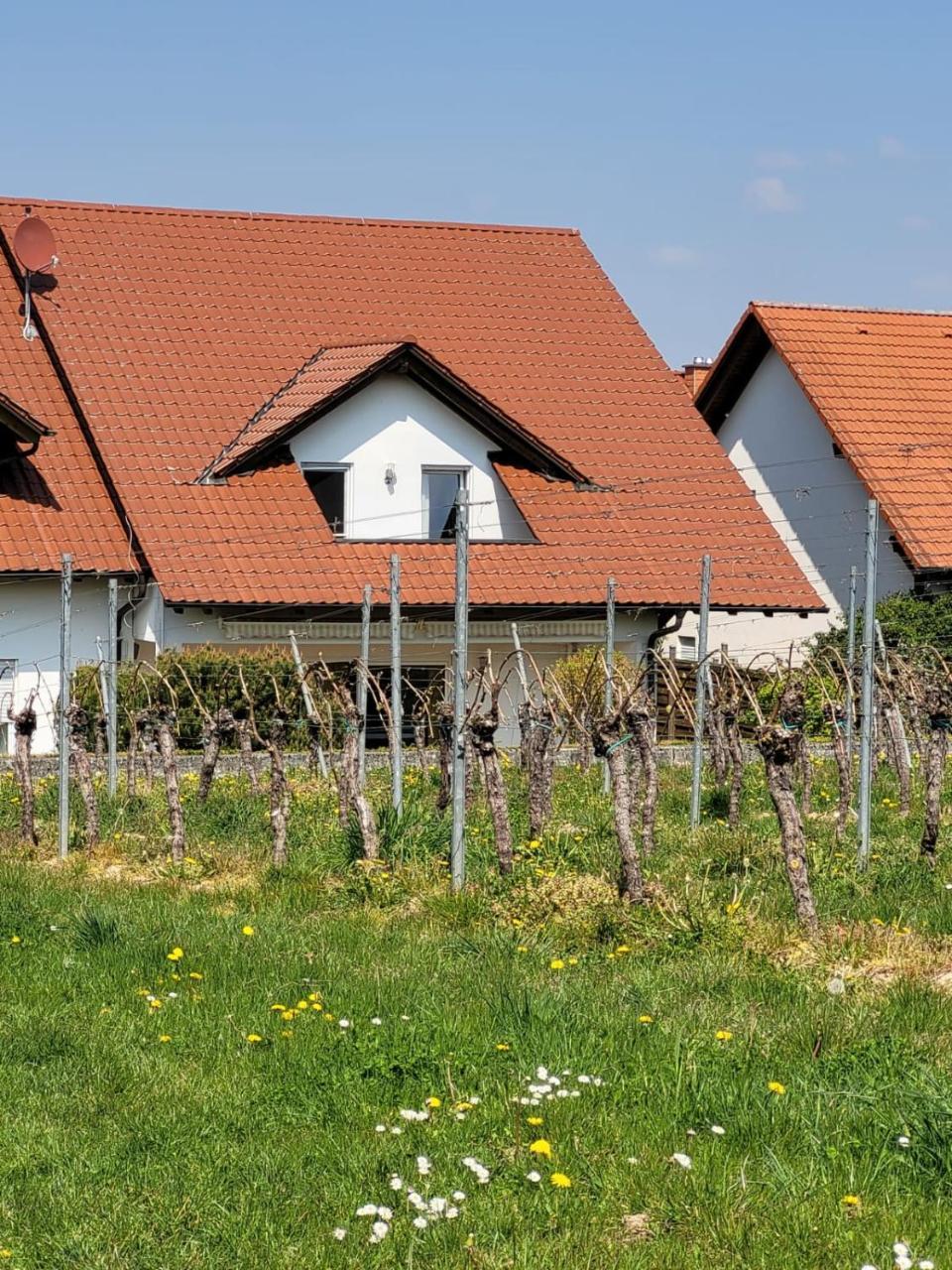 Ferienhaus Vongerichten — Oberhausen