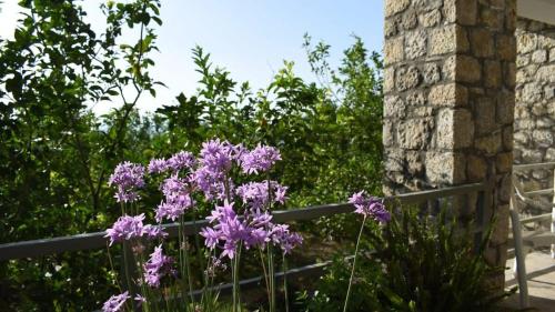 Stone Studio With Sea Views Near the Beach — 4-Star Luxury Hotel in Kalamata, Greece