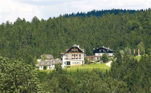 Hotel Schwarz Alm Zwettl — hotel in Zwettl Stadt