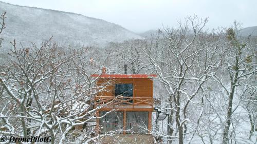 Villa Vejini cabin