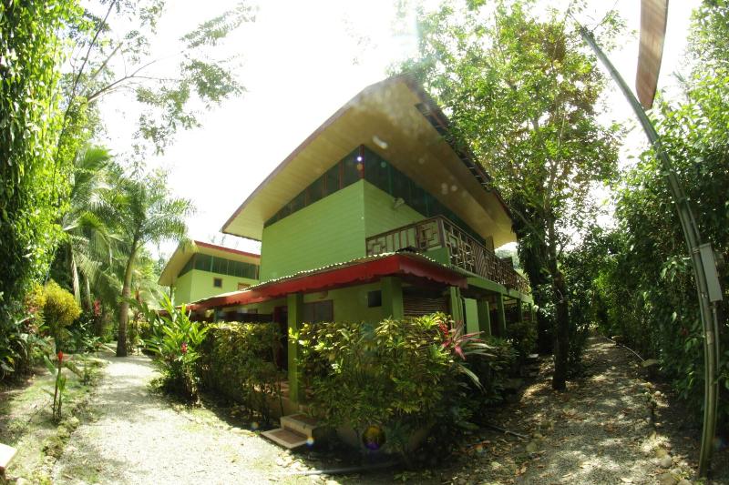 Blue Conga in Puerto Viejo De Talamanca, Costa Rica
