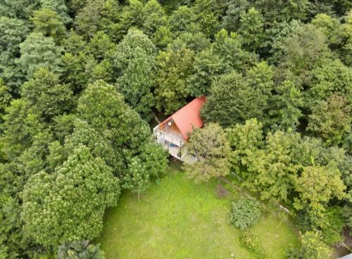 Cottage Sataplia
