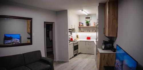 Luxury 1bdrm apt with a view