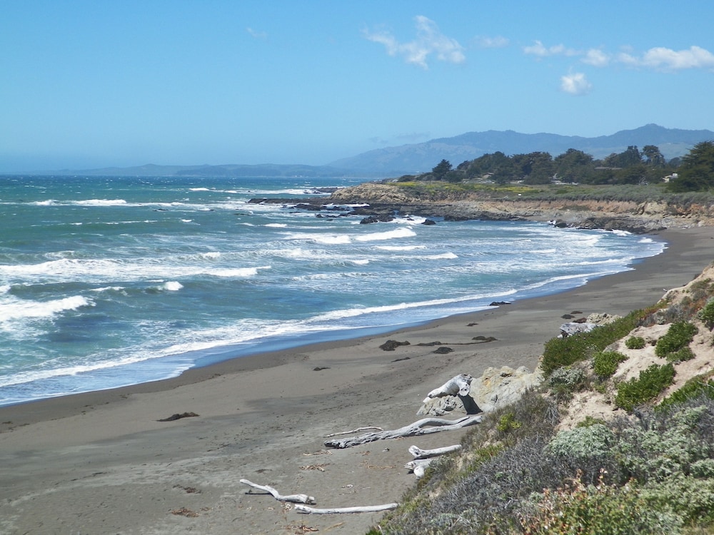 Sea Otter Inn - photo 48