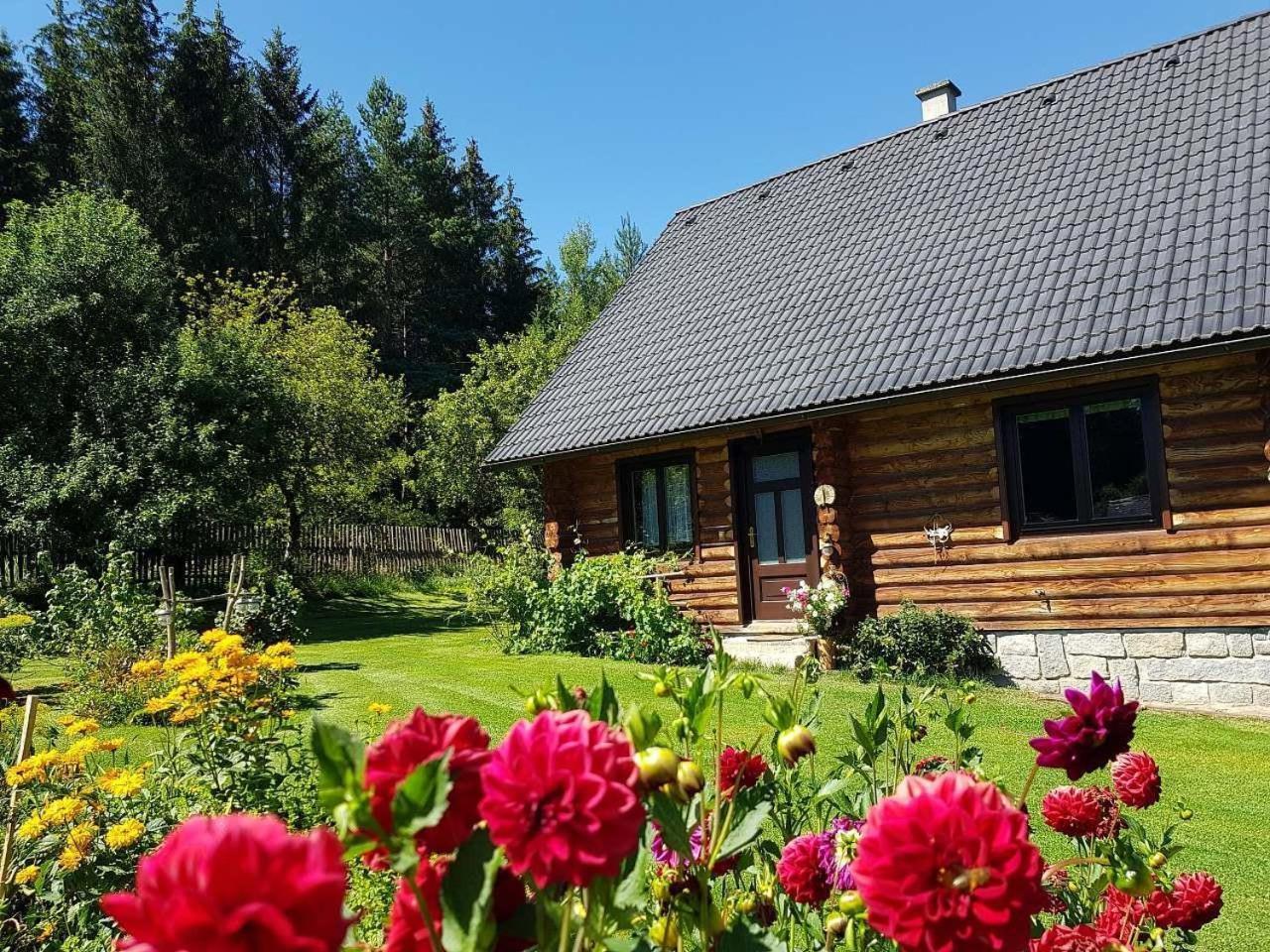Srub Karpatsky - last minute hotel in Unknown City