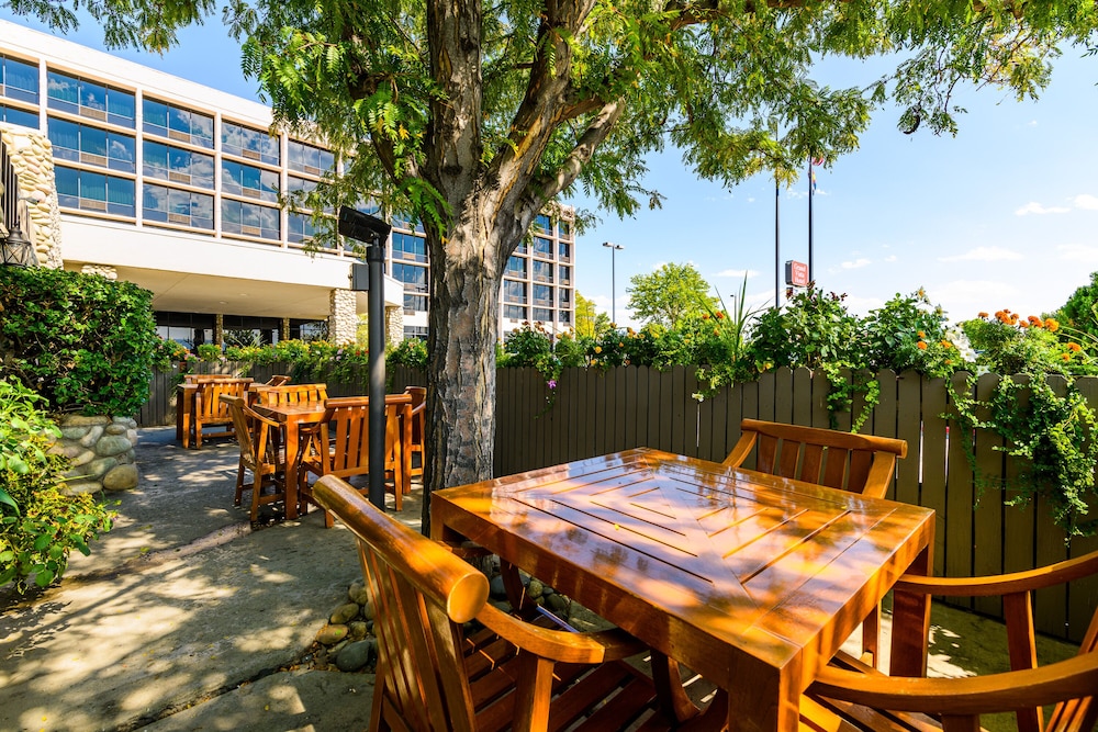 Grand Vista Hotel - photo 39