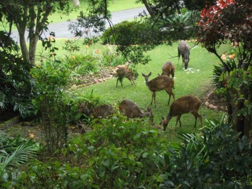 Glen House — 4-Star Luxury Hotel in Knysna, South Africa