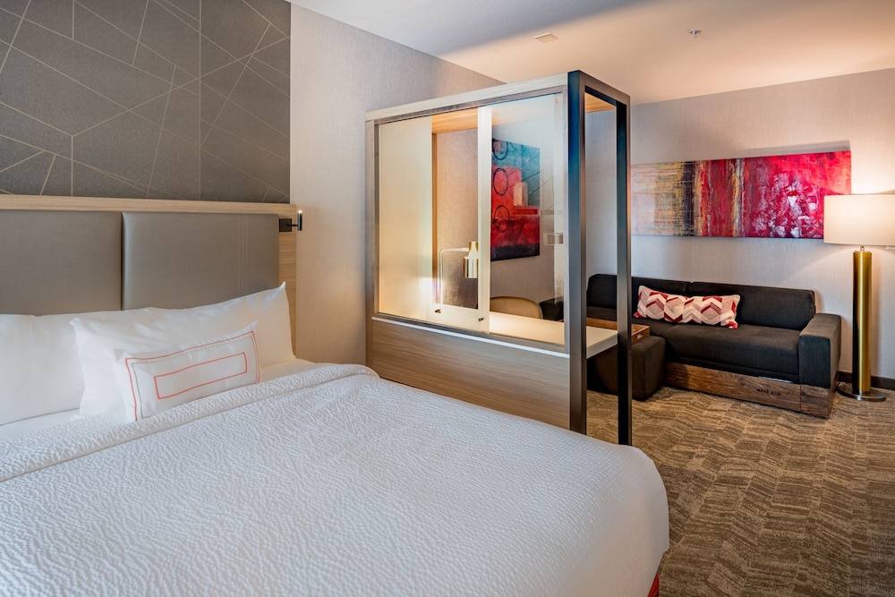 SpringHill Suites by Marriott Dallas Central Expressway - photo 26