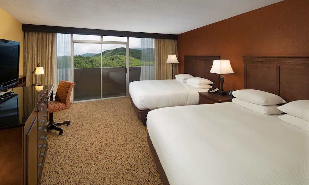 The Park Vista a DoubleTree by Hilton Hotel Gatlinburg - photo 6