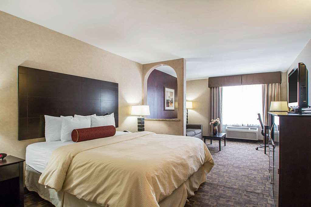 Clarion Inn Elmhurst Oak Brook near I 88 I 290 I 294 - photo 30