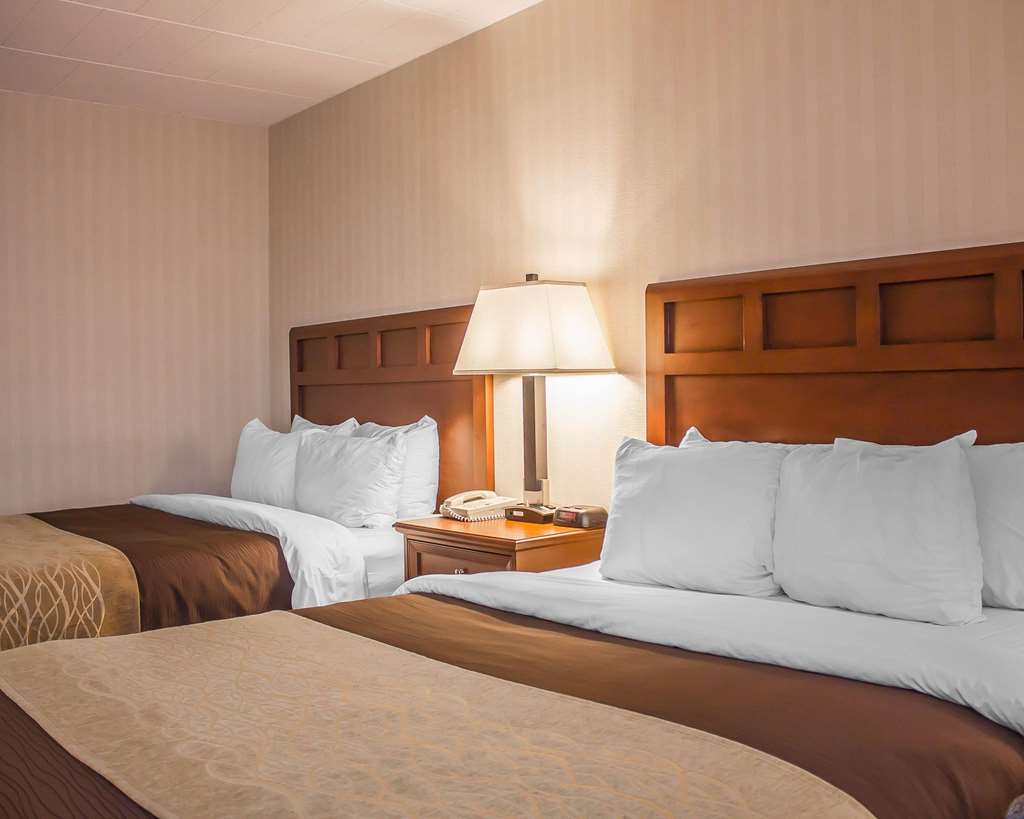 Comfort Inn Wethersfield Hartford - photo 13
