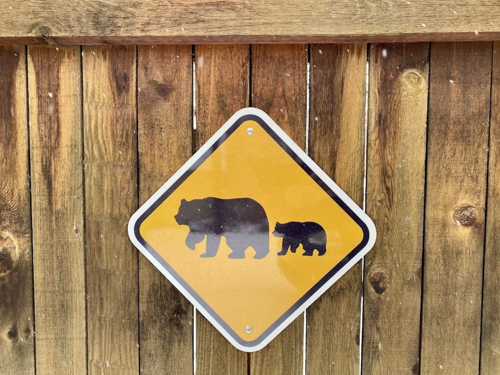 The Beautiful Bear s Den Walk to Old Town & CSU - photo 17