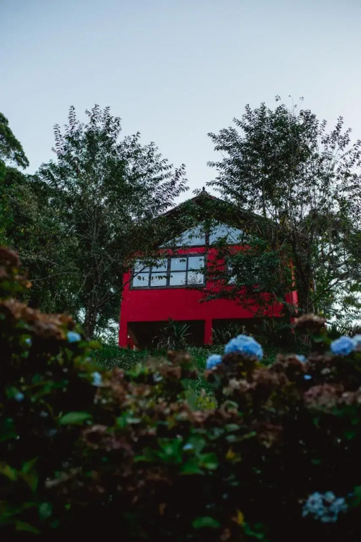 Sitio Das Hortensias — Lima Duarte — photo 3