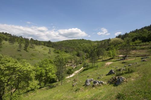 Pet Friendly Home In Trviz With Wifi — 4-Star Luxury Hotel in Pazin, Croatia