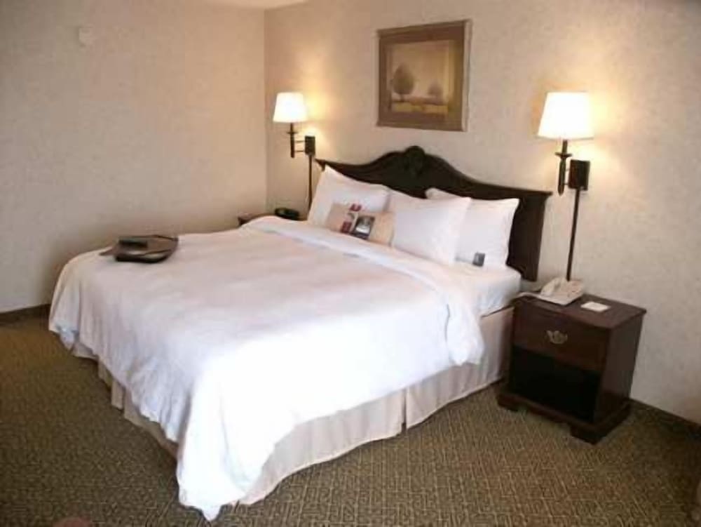 Hampton Inn Dublin - photo 7