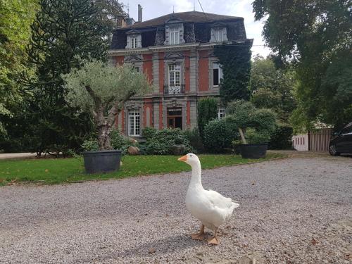 Château Lambert Moulinsart Hotel shuttle airport long term parking snooker large terrasse dinner breakfast — hotel in Charleroi
