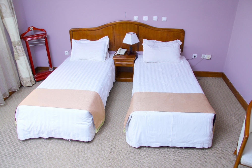 Damu Hotel — Addis Ababa — photo 3