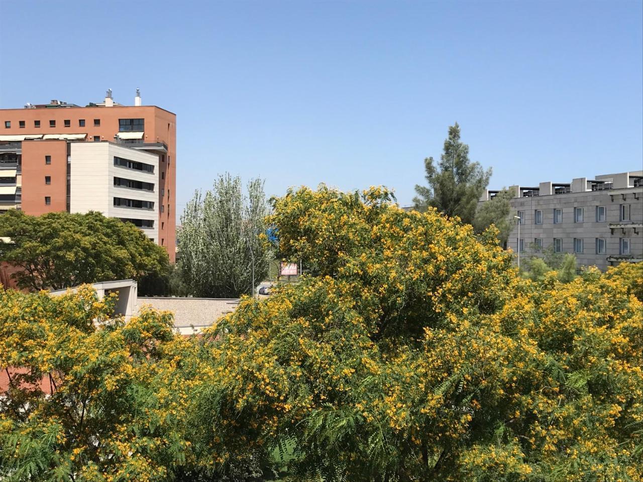 Barceló Cornellà — Cornella De Llobregat — photo 4
