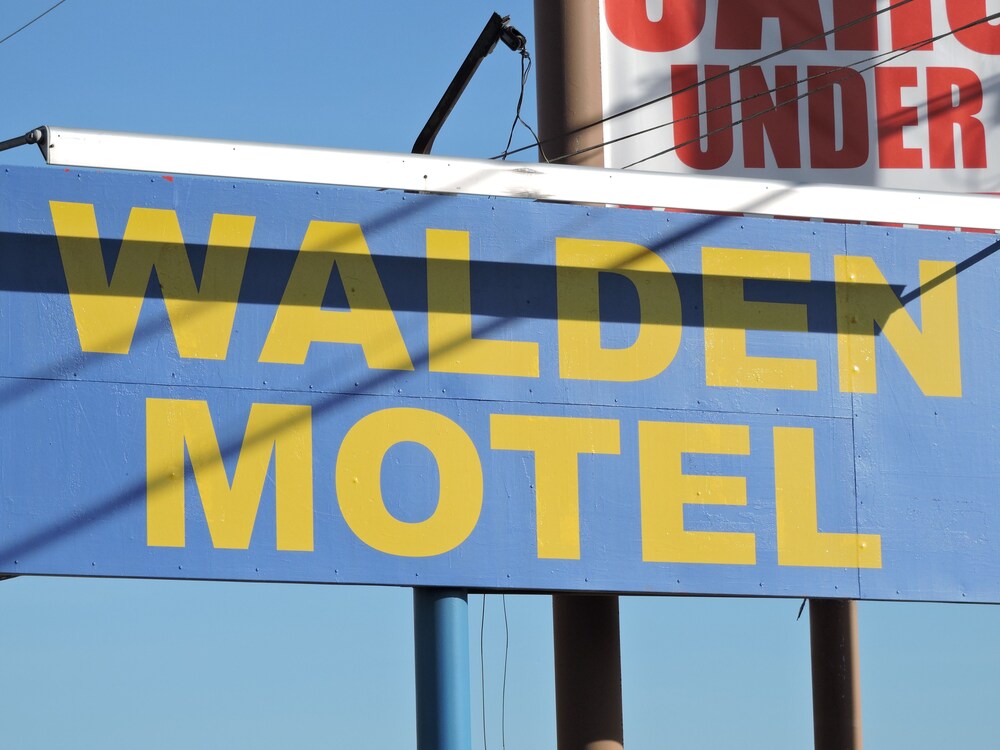 Walden Motel - photo 23