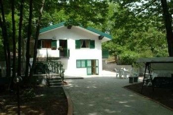 Castagneto Dell Etna