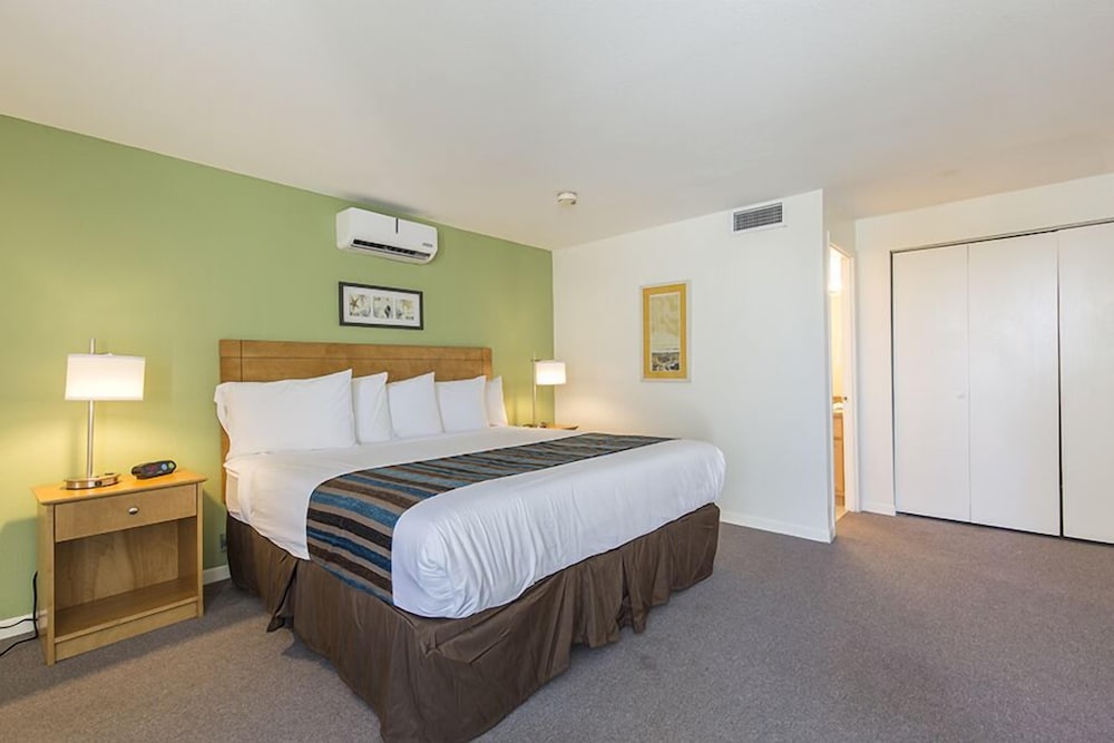 Bahia Mar by Padre Island Rentals - photo 3