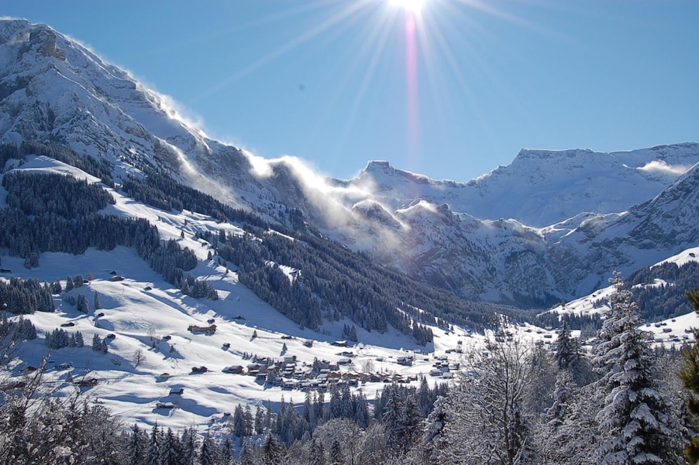 Hotel Crystal — hotel in Adelboden