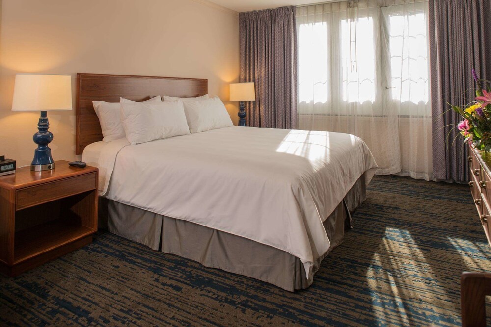 The Voyager Inn - photo 5