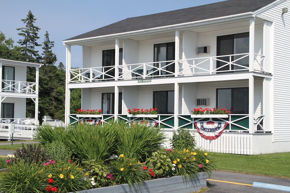 Bluebird Ocean Point Inn - photo 13