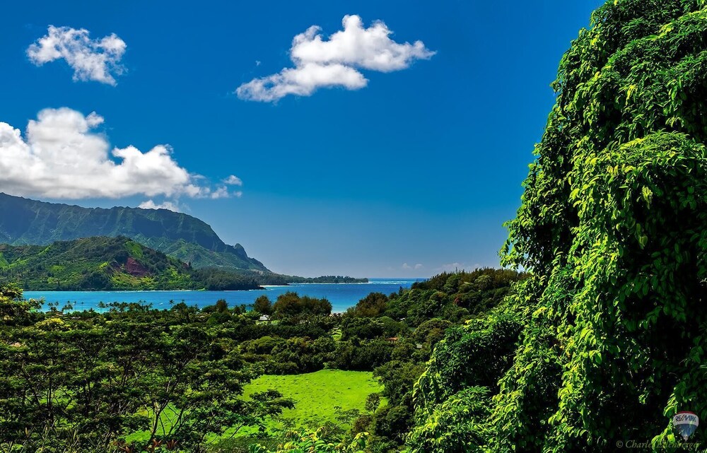 Plantations at Princeville #1122 - photo 23