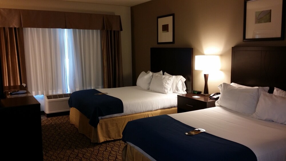 Holiday Inn Express Hotel & Suites Deming Mimbres Valley an IHG Hotel - photo 3